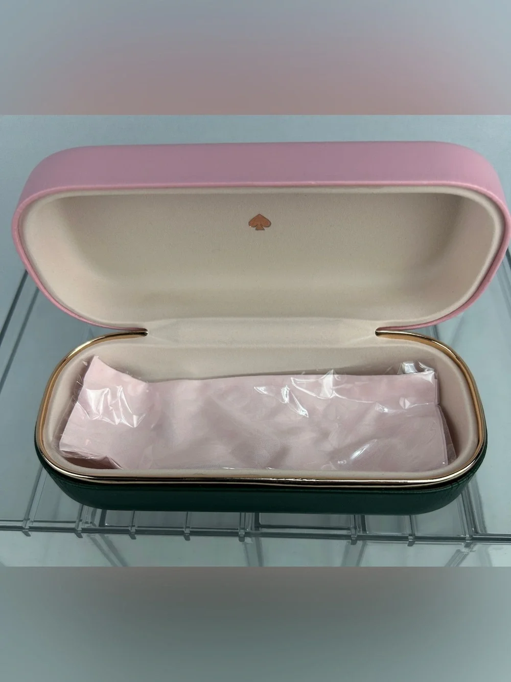 Kate Spade Pink and Green Hard Shell Clutch Case